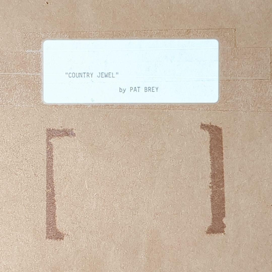 大型絵画 直筆水彩画 COUNTRY JEWEL by PAT BREY