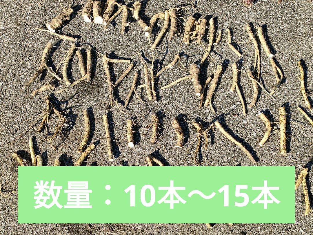 ぴろ様 リクエスト 2点 まとめ商品 - メルカリ