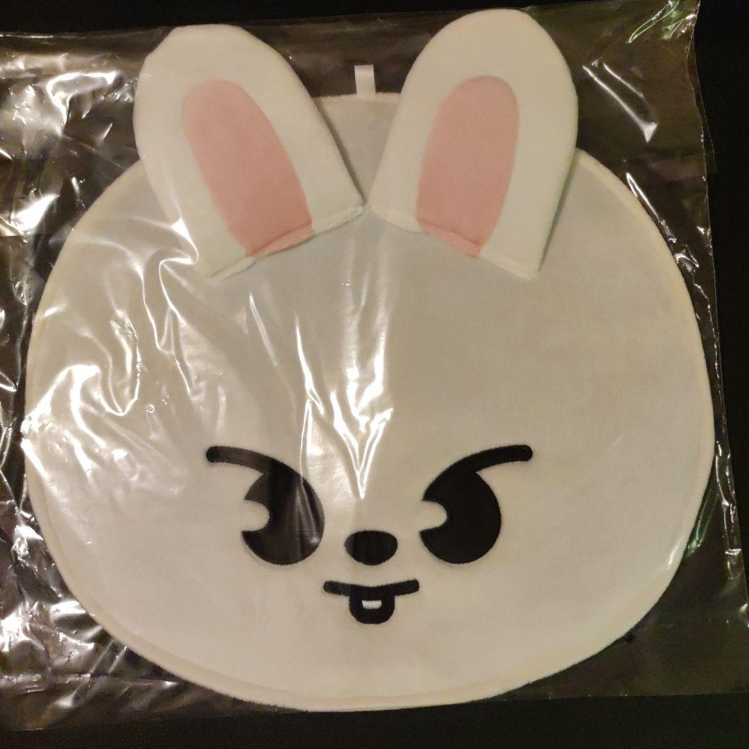 新品】StrayKids スキズリービット リノ うちわケース - メルカリ