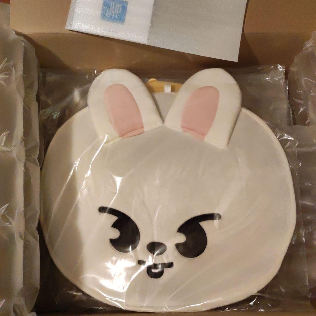 新品】StrayKids スキズリービット リノ うちわケース - メルカリ