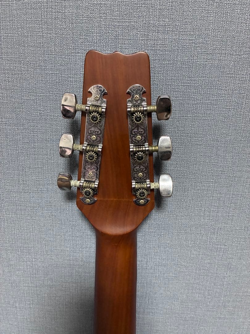 Vantage VIS-1 ヴァンテージ アコースティックギター マホガニー