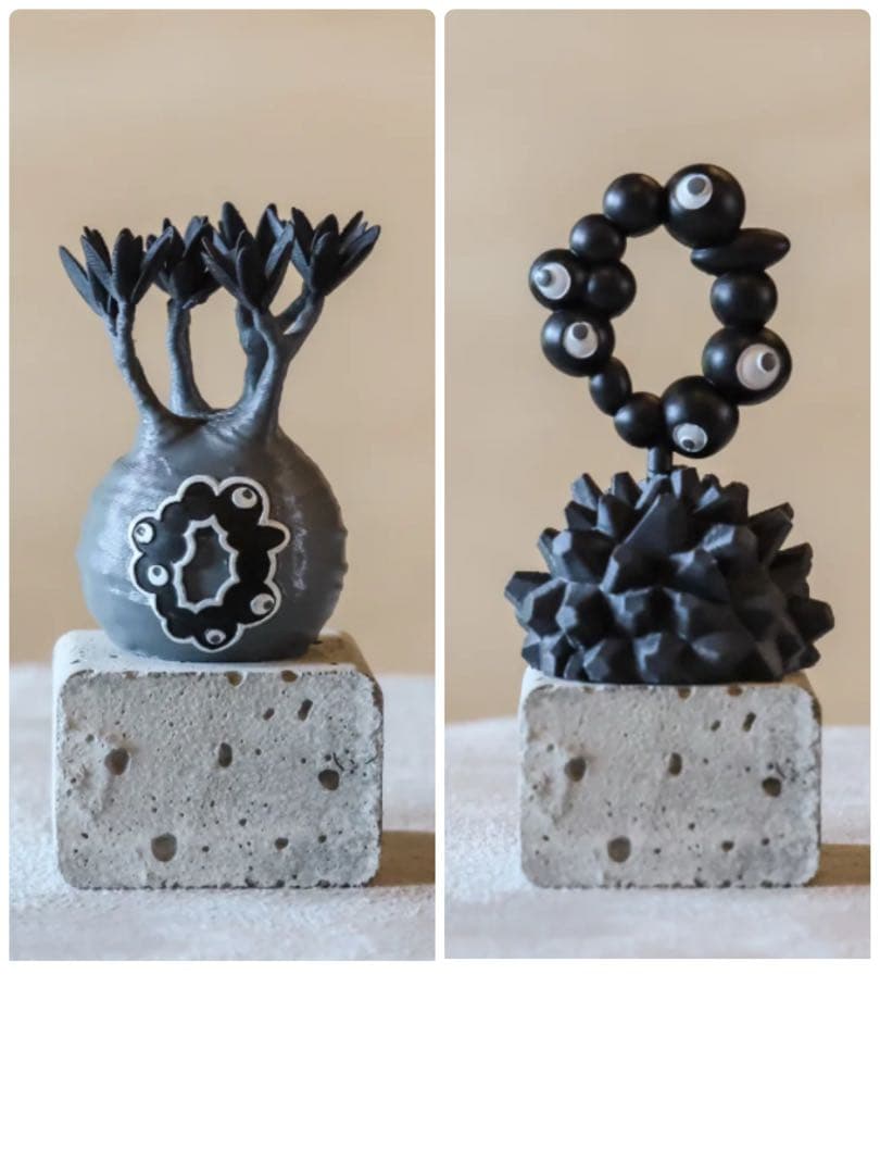 Sサイズセット LOBINDON ×ミャクミャク グラキリス亀甲竜モノクロver