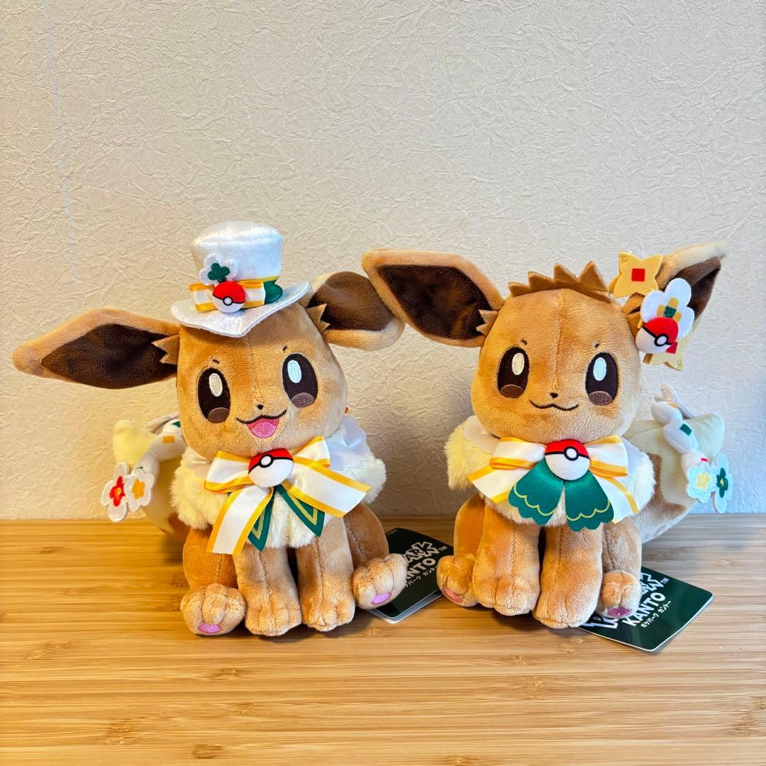 ポケパーク限定 イーブイ ぬいぐるみ 2体セット カーニバル - メルカリ