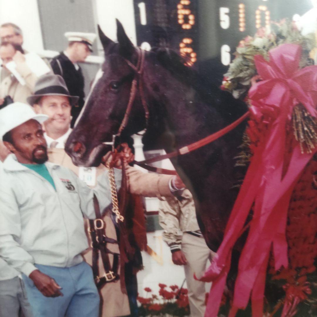 サンデーサイレンス ケンタッキーダービー 額入り 口取り写真 ウマ娘