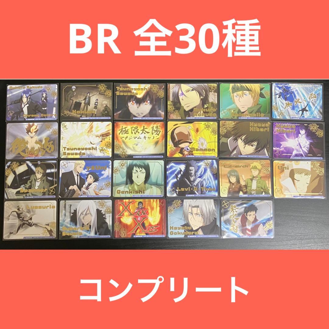 ヴァイスシュバルツブラウ 家庭教師ヒットマンリボーン　BR　全30種コンプリート