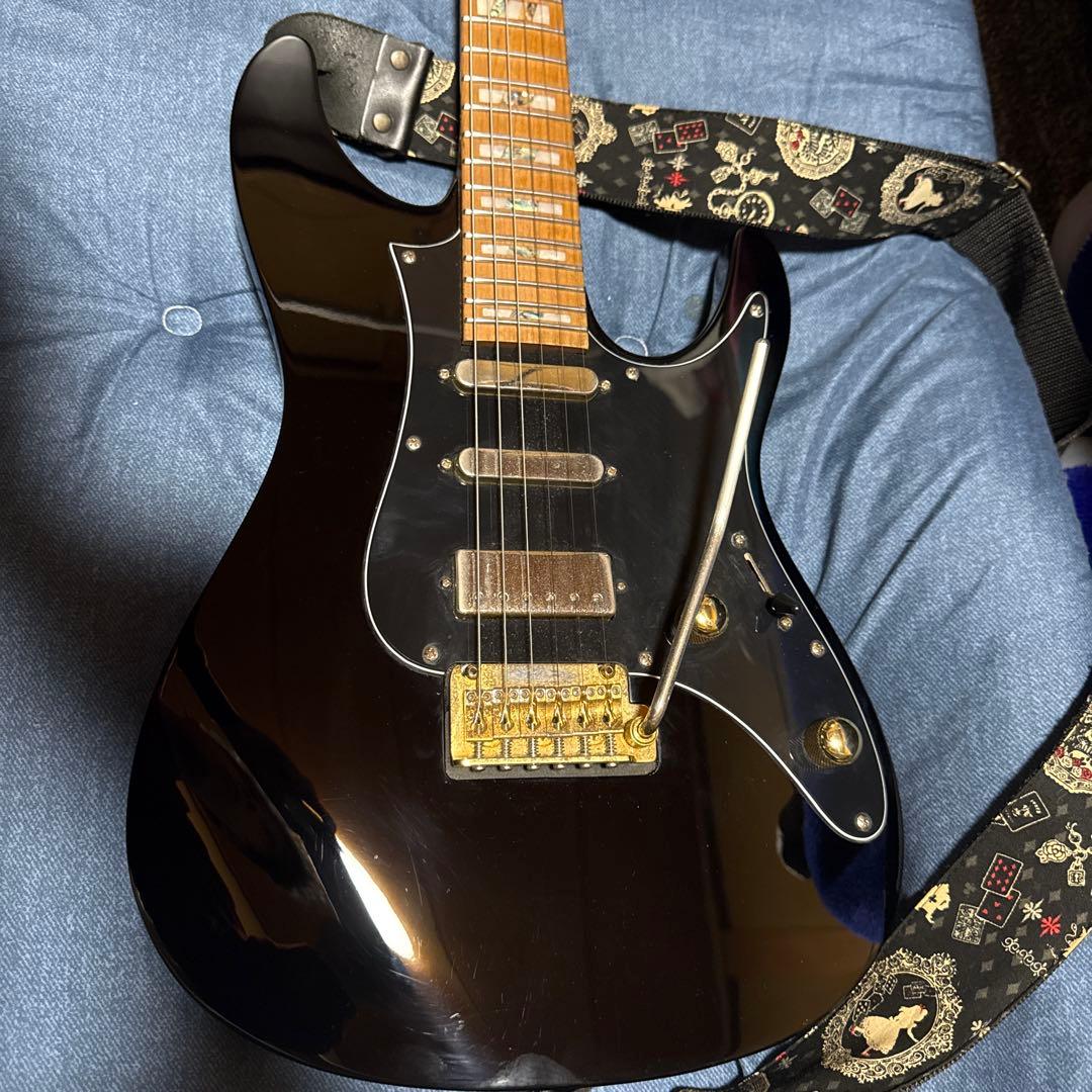 ギター Ibanez / Tim Henson Signature THBB10 Tim Henson's Ibanez THBB10 Signature – Ground Guitar