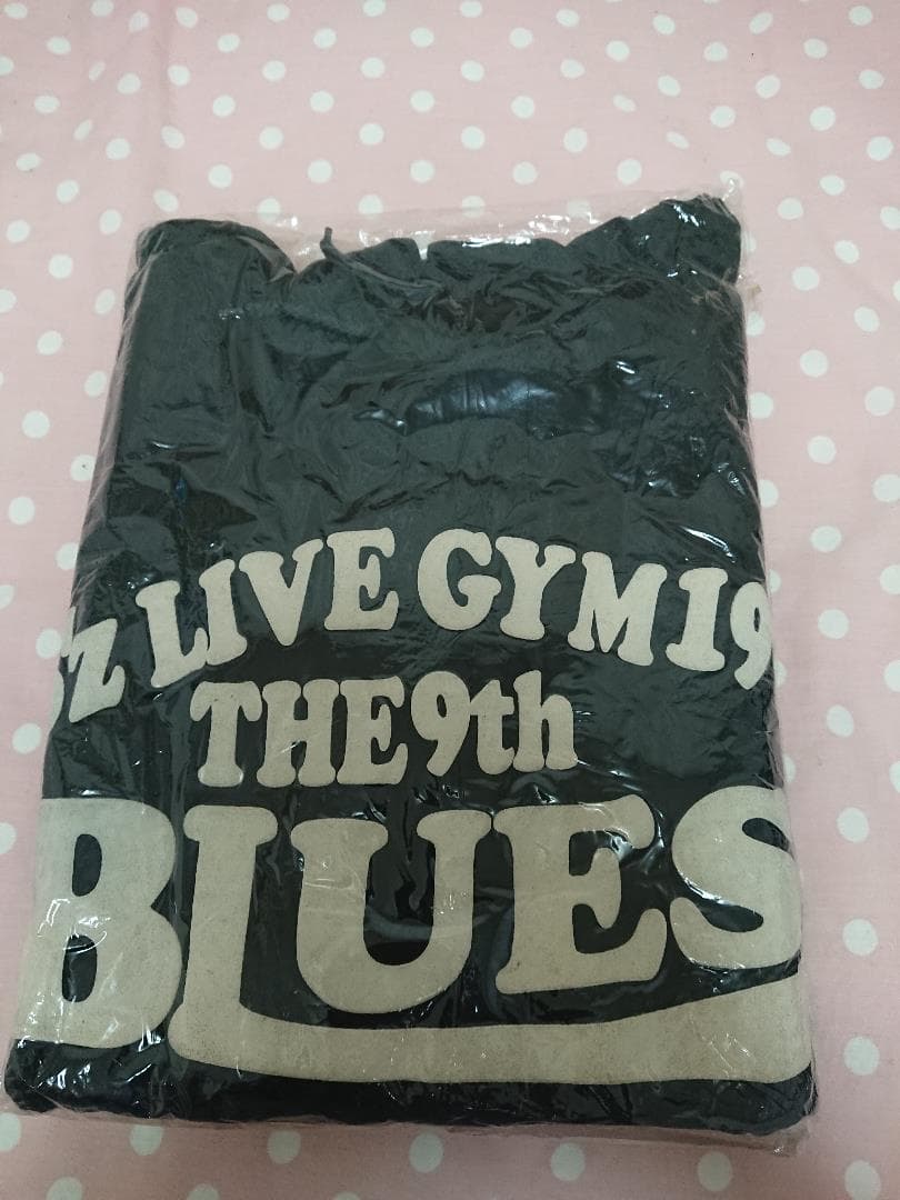 B'z LIVE-GYM 94 パーカー ライブグッズ 激レア