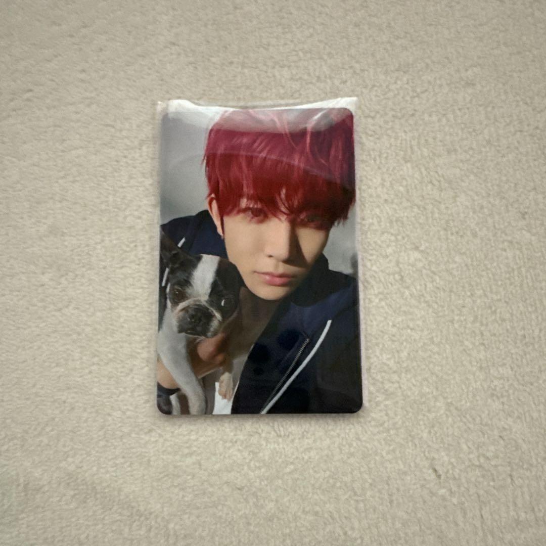 ENHYPEN FC特典 アンケートトレカ ヒスン