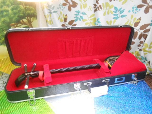 (送料無料)9.980円沖縄三線専用　ハードケース黒色　実用に問題なし