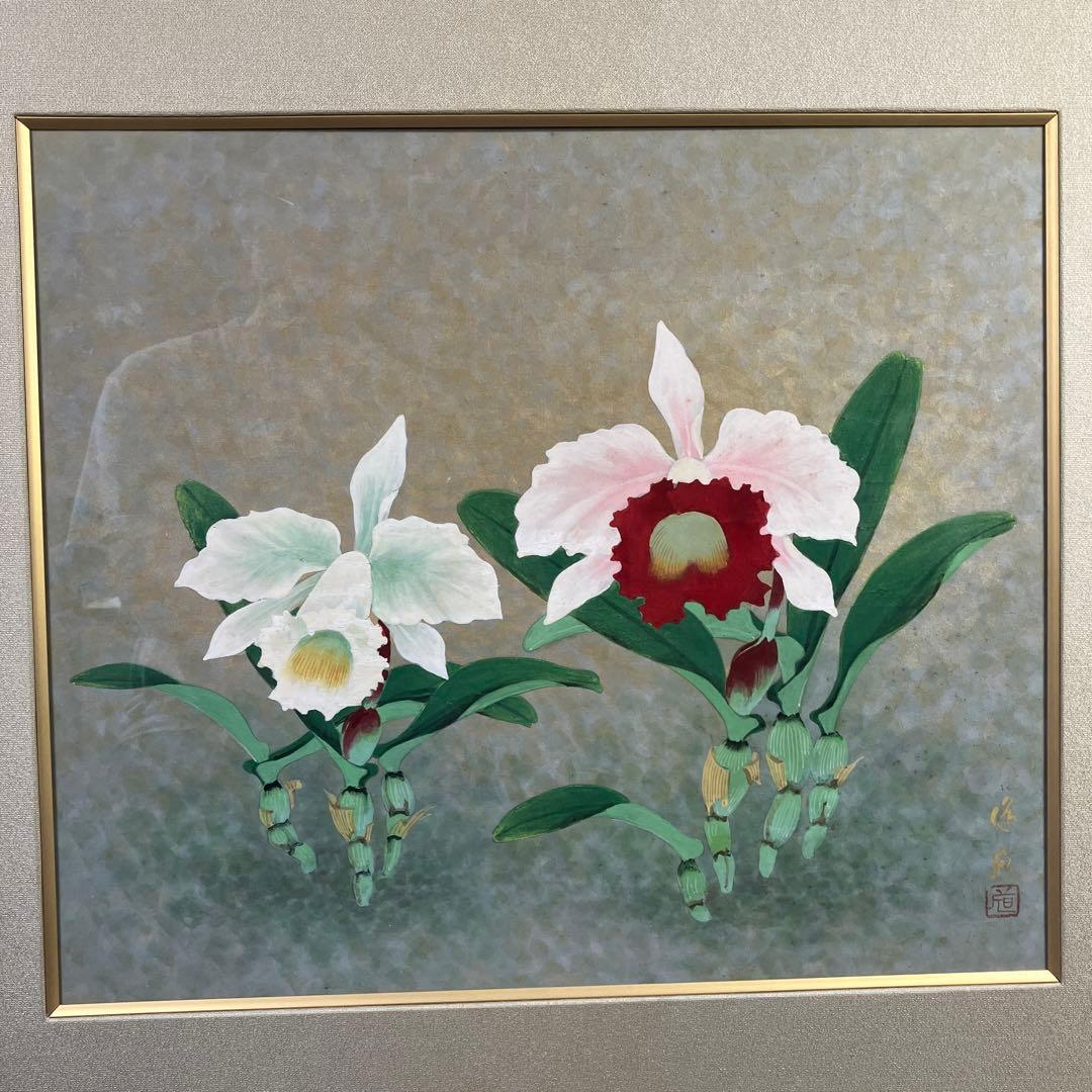 日本画　柳道成　「カトレア」