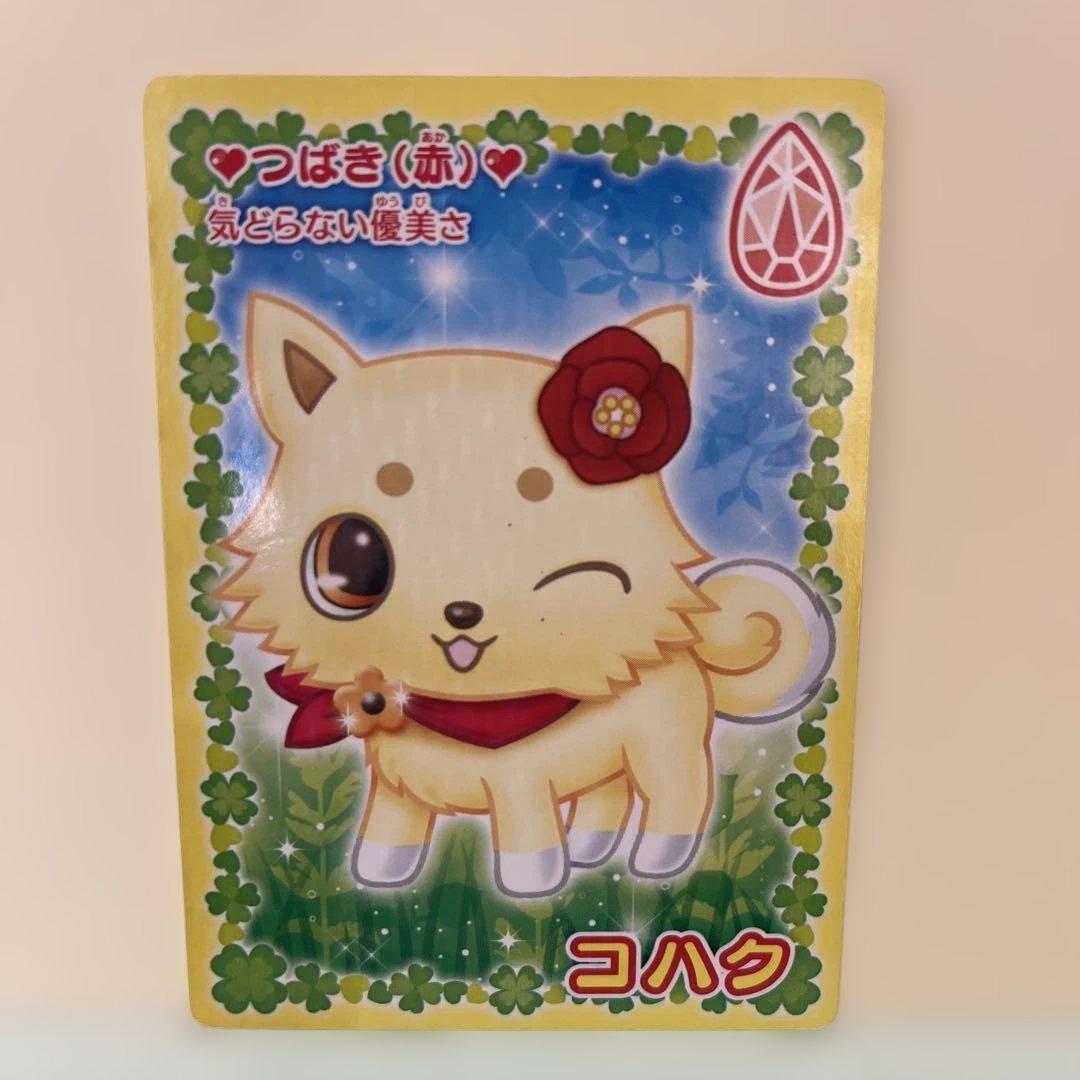 ジュエルペット カード 花言葉 うらないカード サンリオ コハク - メルカリ