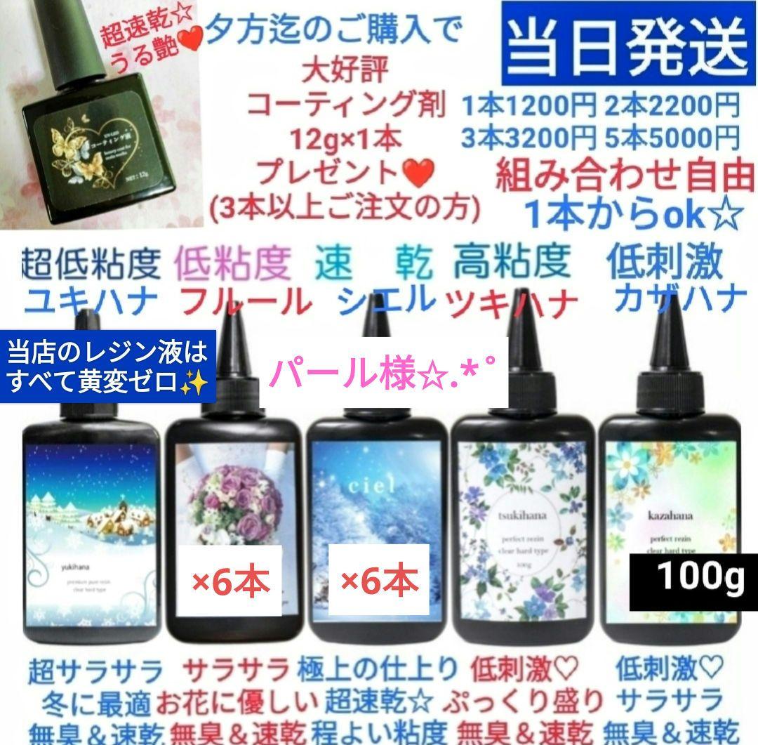 パール専用レジン液 フルール6本、シエル6本、コーティング剤つき✩.*˚
