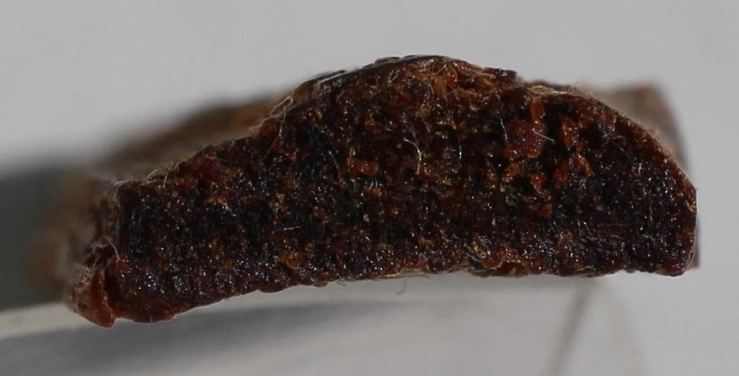 香木 古渡命銘木 伽羅 小分け(1) 約0.28g 沈香 奇南 E101209850