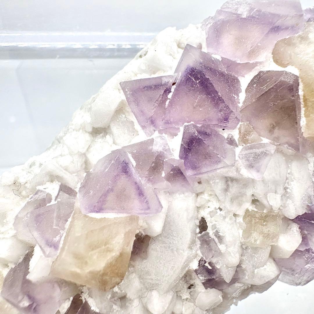 565 中国内モンゴル産　八面体フローライト&シェーライト