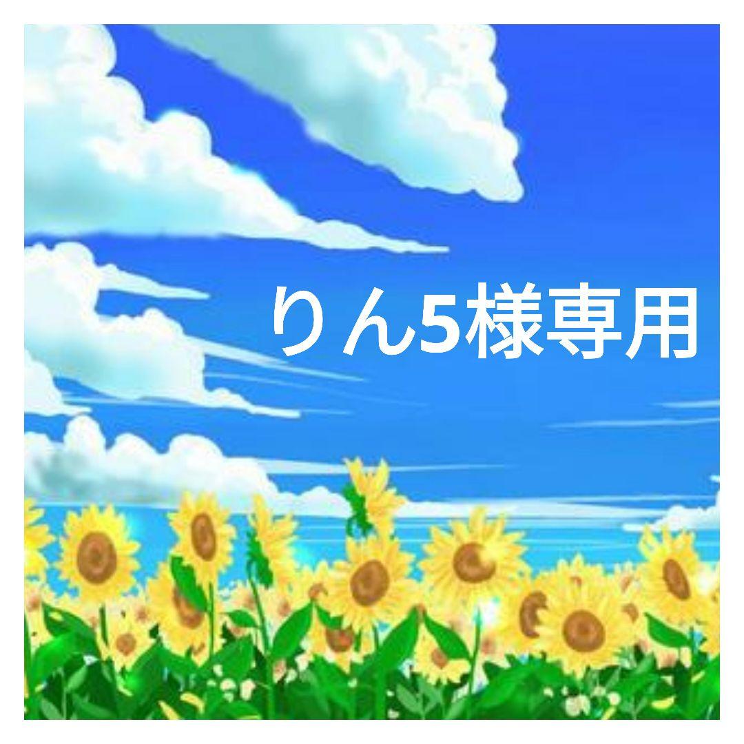 りん5