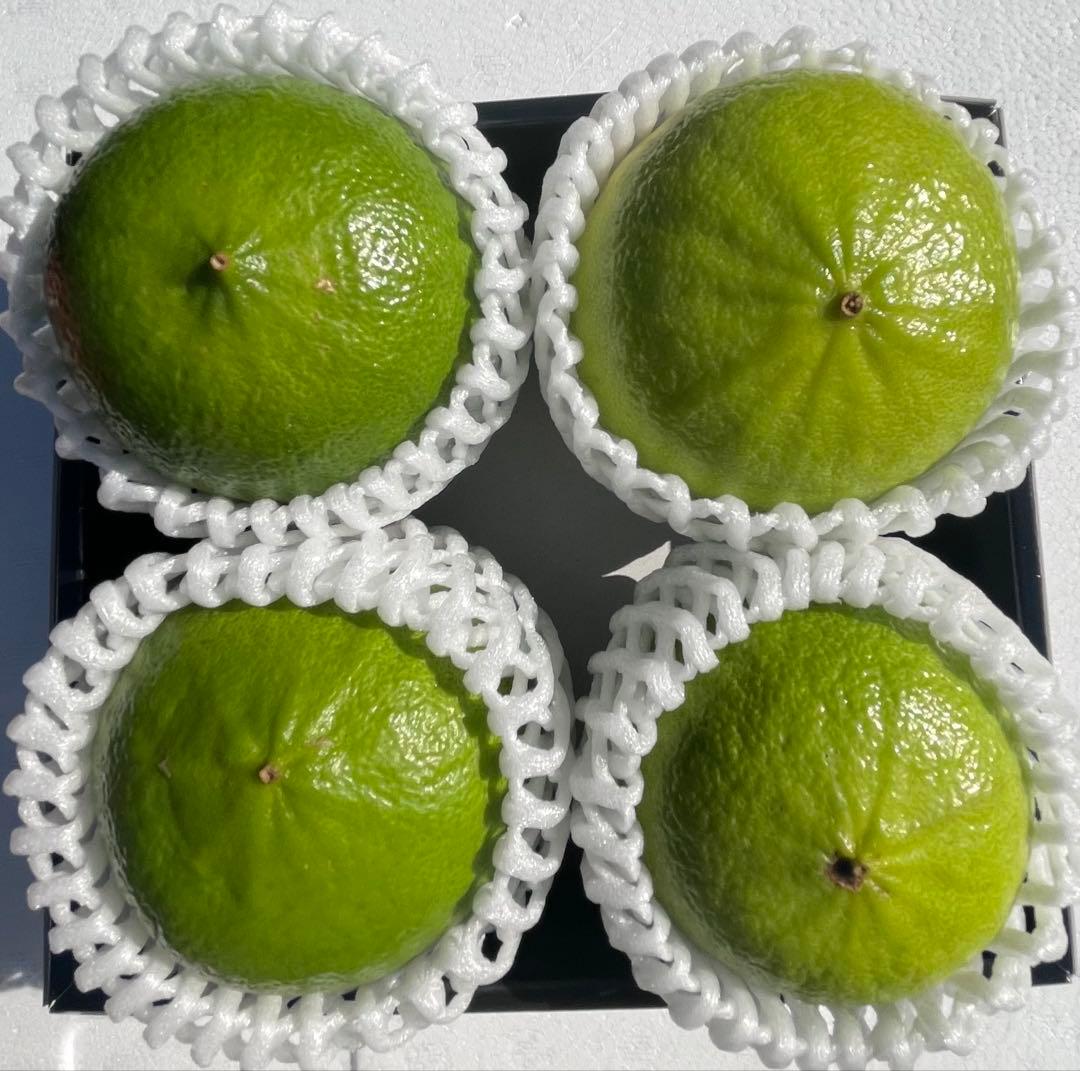 国産ベルガモットオレンジ果実香りが強い露地栽培 約1.3kg 送料込み