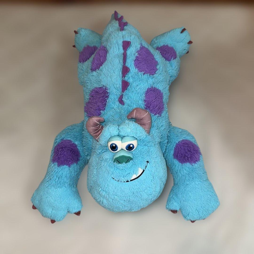 僕の相棒サリー。