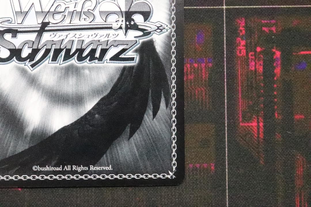 ふわもこ夢心地 望月杏奈 SSP サイン 44-MY0921-12C