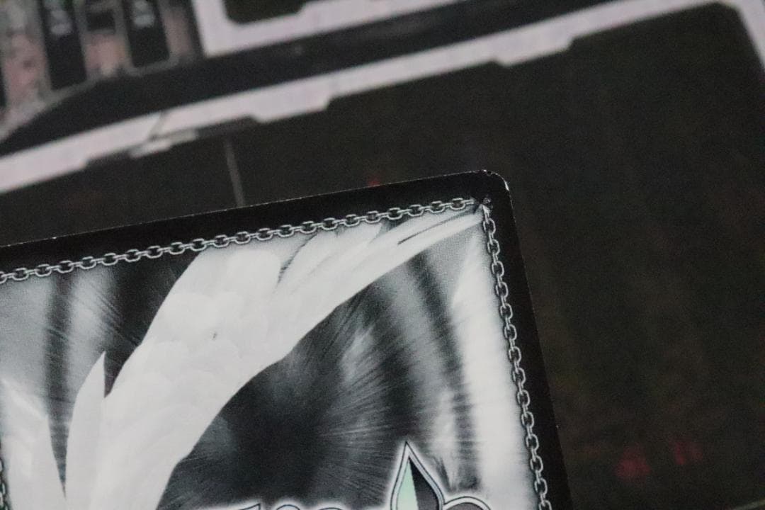 ふわもこ夢心地 望月杏奈 SSP サイン 44-MY0921-12C