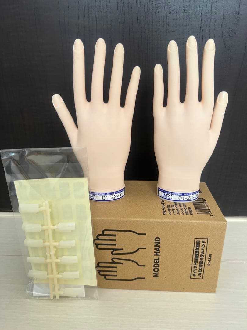 ネイルアート用モデルハンド2本セットとチップ