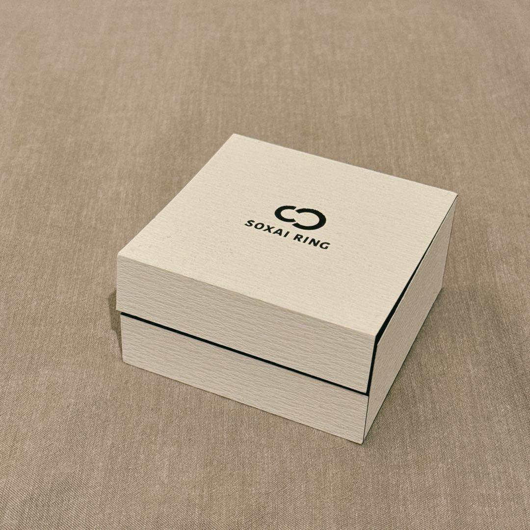 SOXAI RING ソクサイリング 12号 マットシルバー