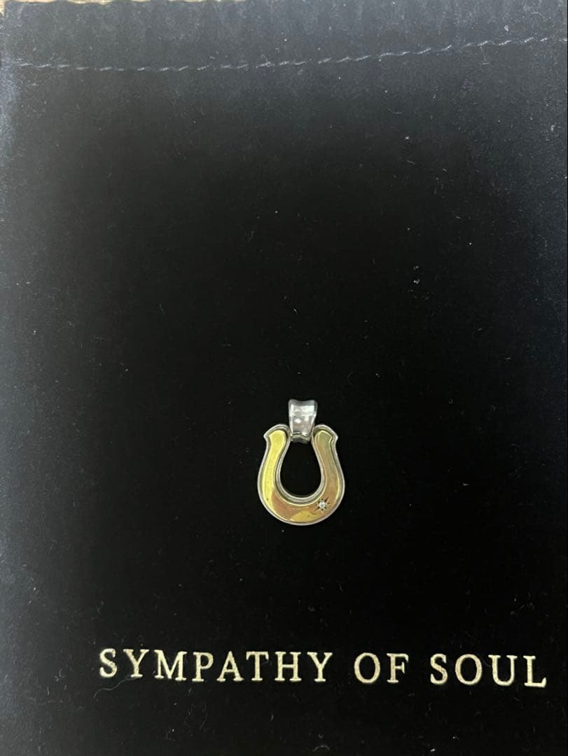 SYMPATHY OF SOUL 馬蹄型ペンダント 迷ったらこのサイズがオススメ】 SYMPATHY OF SOULのHorseshoe（馬蹄