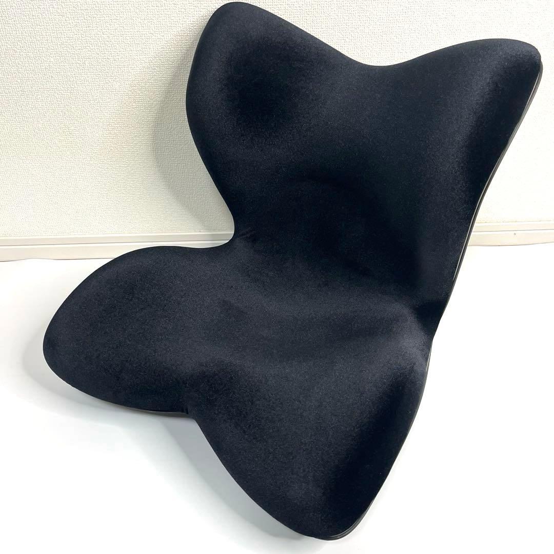 【美品！】 Style PREMIUM DX スタイルプレミアムデラックス