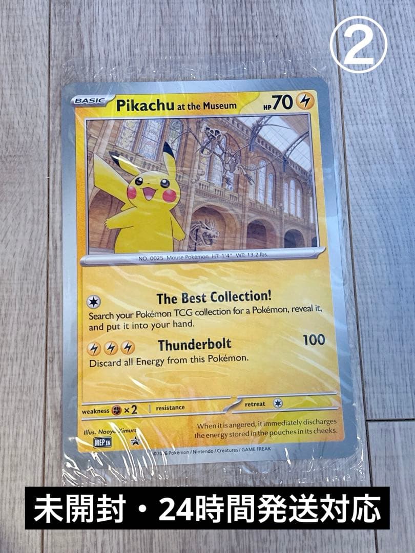 ピカチュウ Pikachu at the Museum プロモ promo②