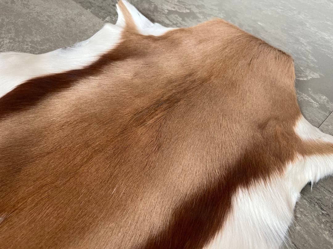 【新品】南アフリカ産　天然毛皮　ラグ　スプリングボック