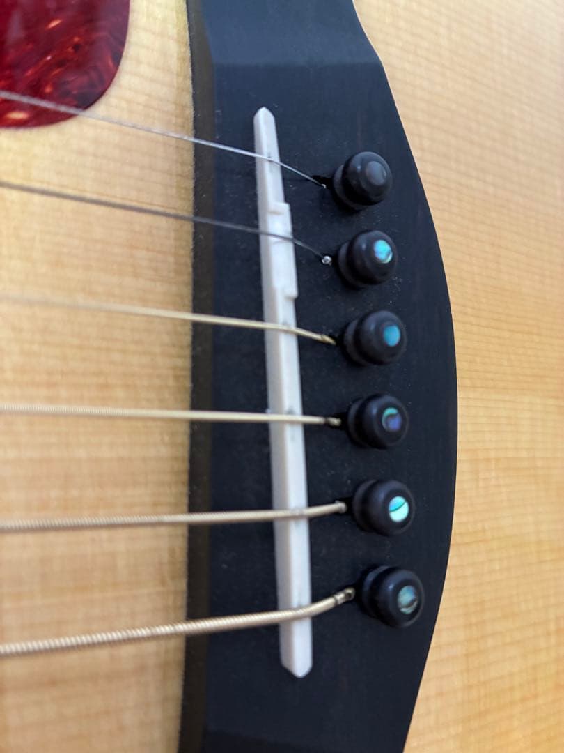 コブクロ 小渕健太郎さん愛用】Taylor 810 テイラー - メルカリ