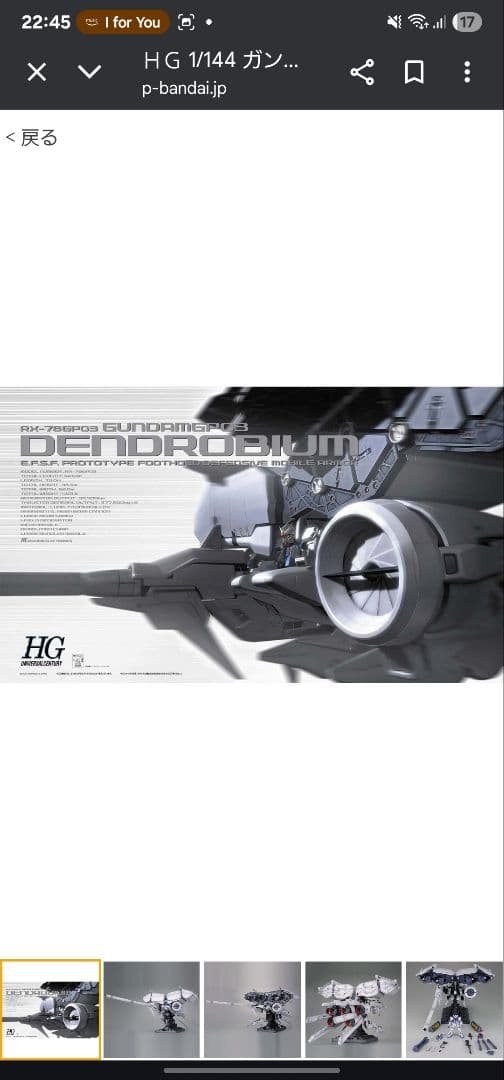 1/144　デンドロビウム