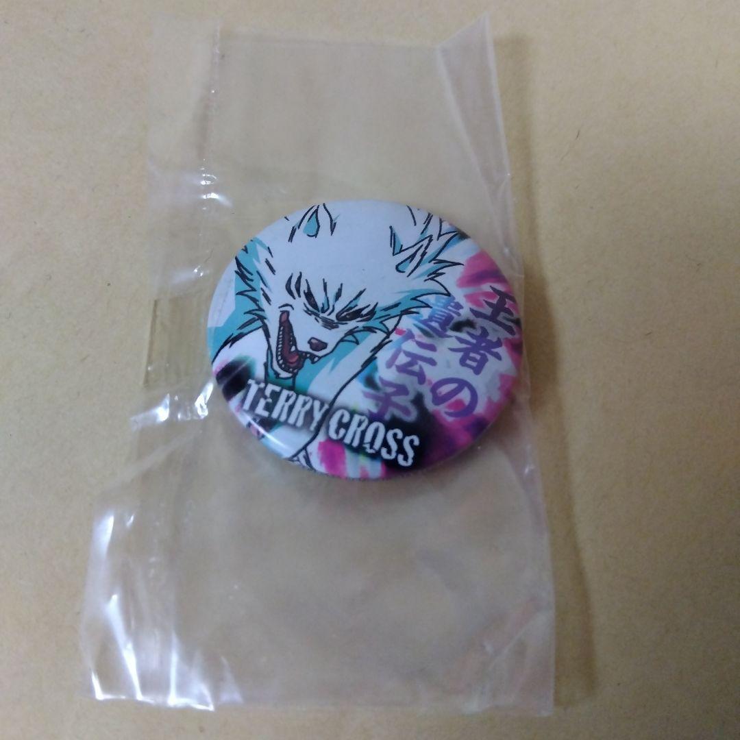 トリコ カプセルカンバッジ テリークロス 缶バッジ グッズ フラガリアメモリーズ カプセル缶バッジコレクション | ナムコパークス