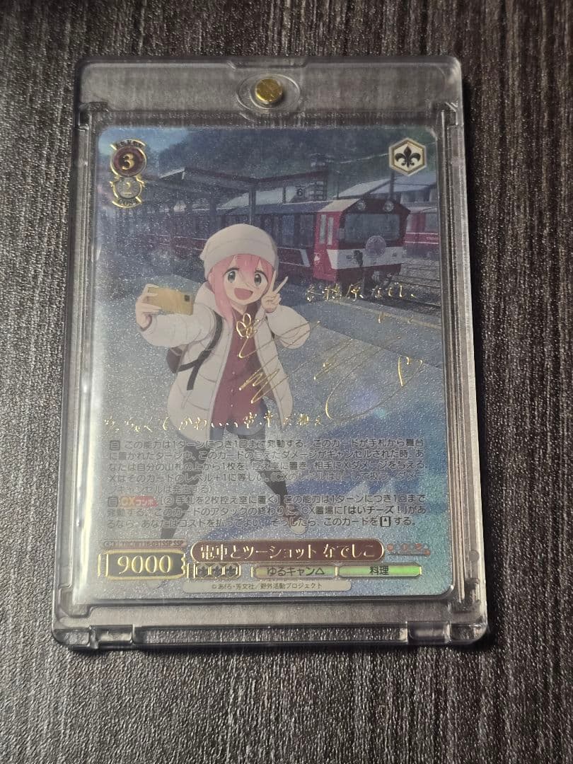 電車とツーショット なでしこ SSP ヴァイスシュヴァルツ