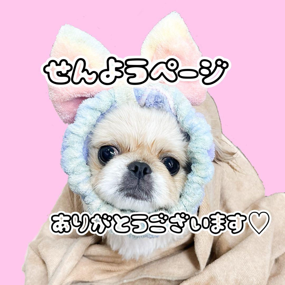 専用ページ☆ ラッピング シール 詰め合わせ☆ キャンディー詰め合わせ ｜ シール・紙器パッケージ​|大阪シーリング