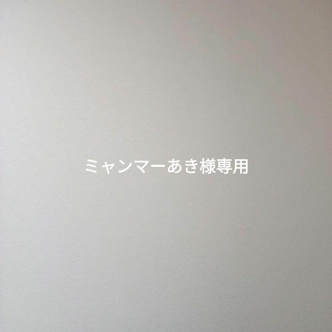 ミャンマーあき 06b_1200x1200.jpg?v=1679079559