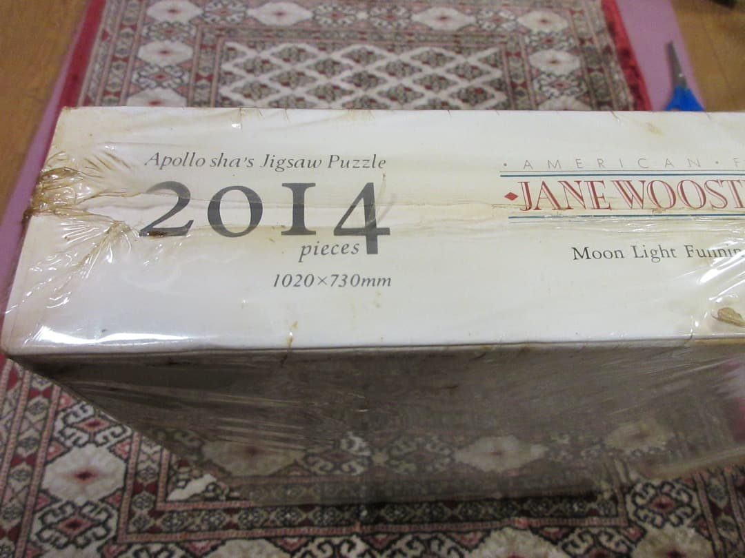 ジェーン・ウースター・スコット「ムーンライト ファニング」2014