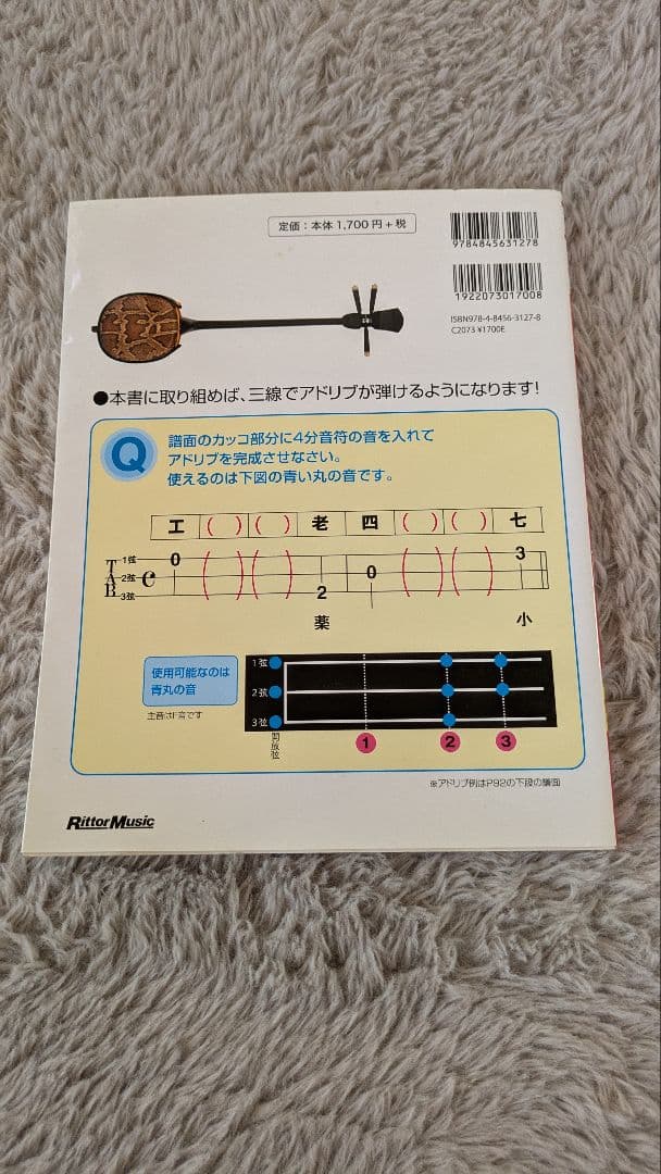 ヘビ柄三線 本体とDVD付き　美品