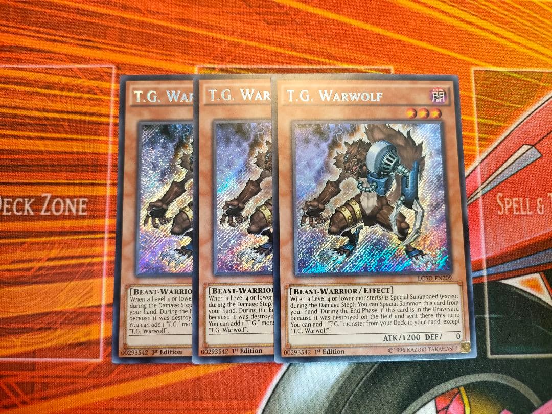 tgワーウルフ シークレット 英語 - メルカリ