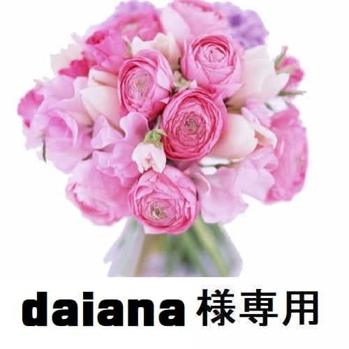 その他 daiana