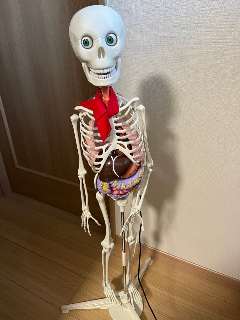 おしゃべりガイコツ ホネッキー - メルカリ