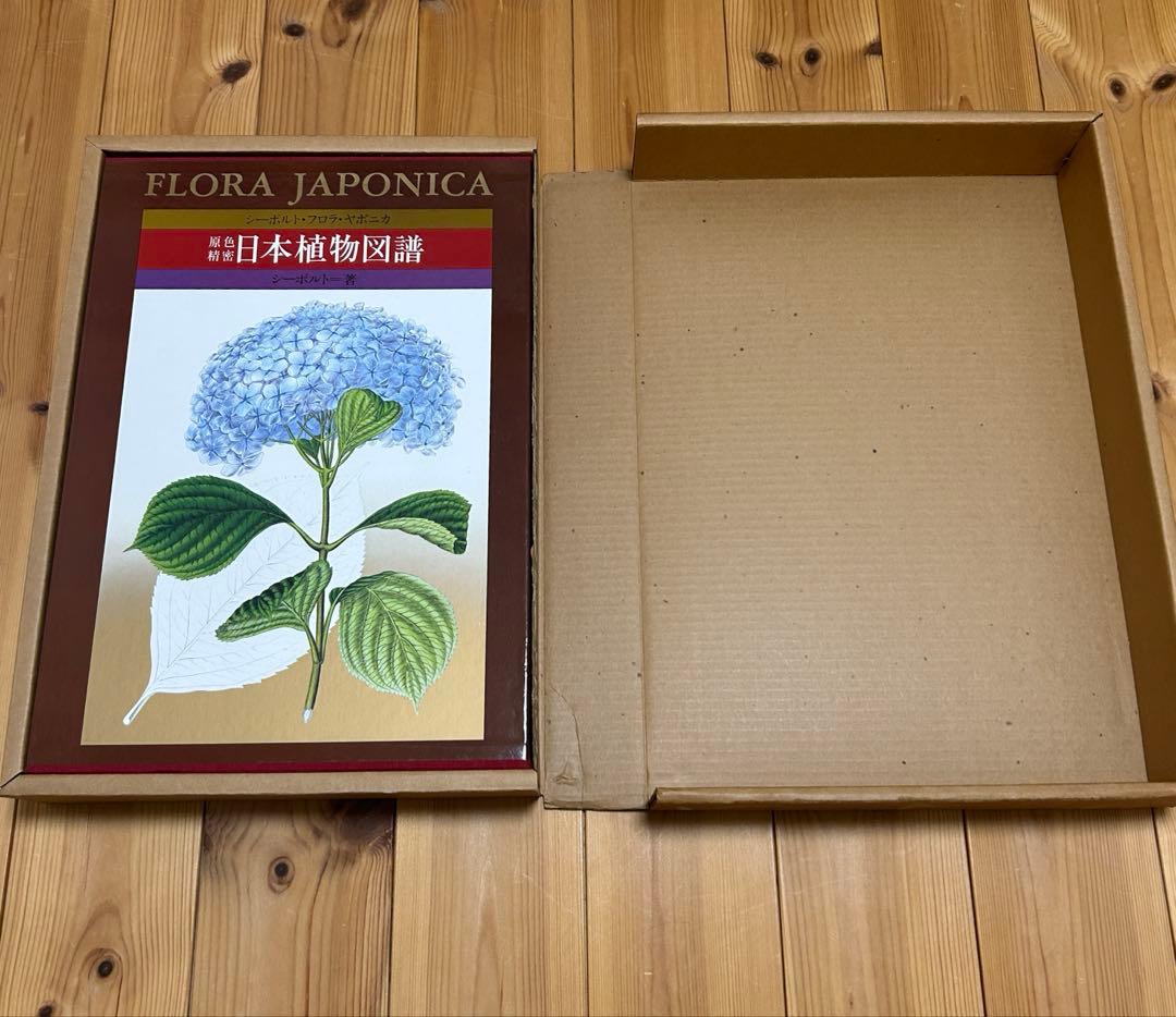 完品希少】原色精密 日本植物図譜 シーボルト 講談社 複製画4枚付 1984