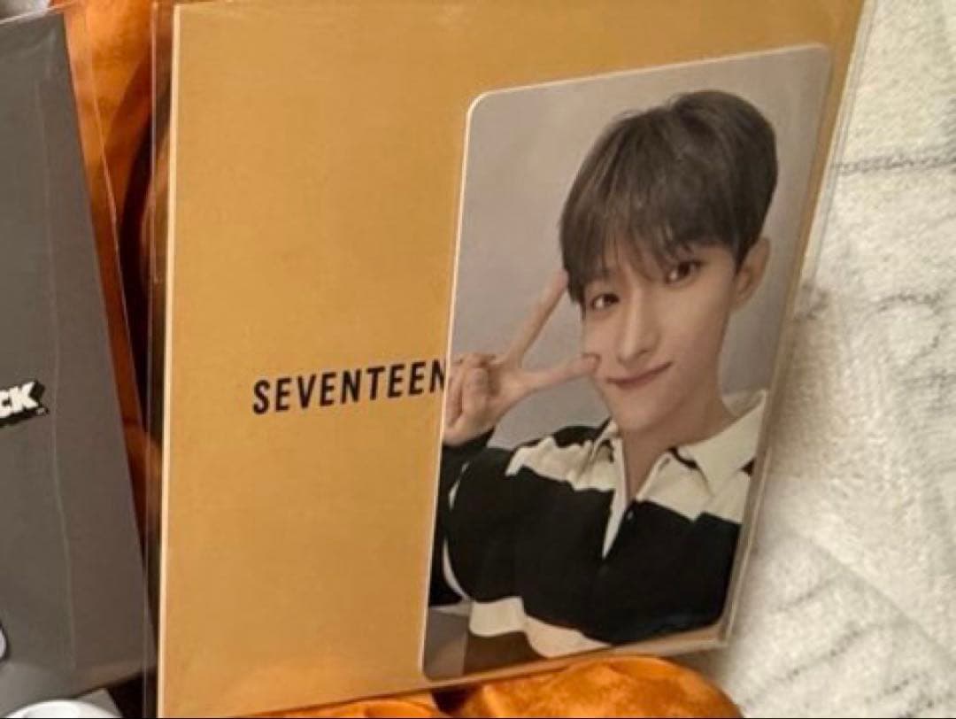 SEVENTEEN ドギョム BE@RBRICK 400% トレカのみ