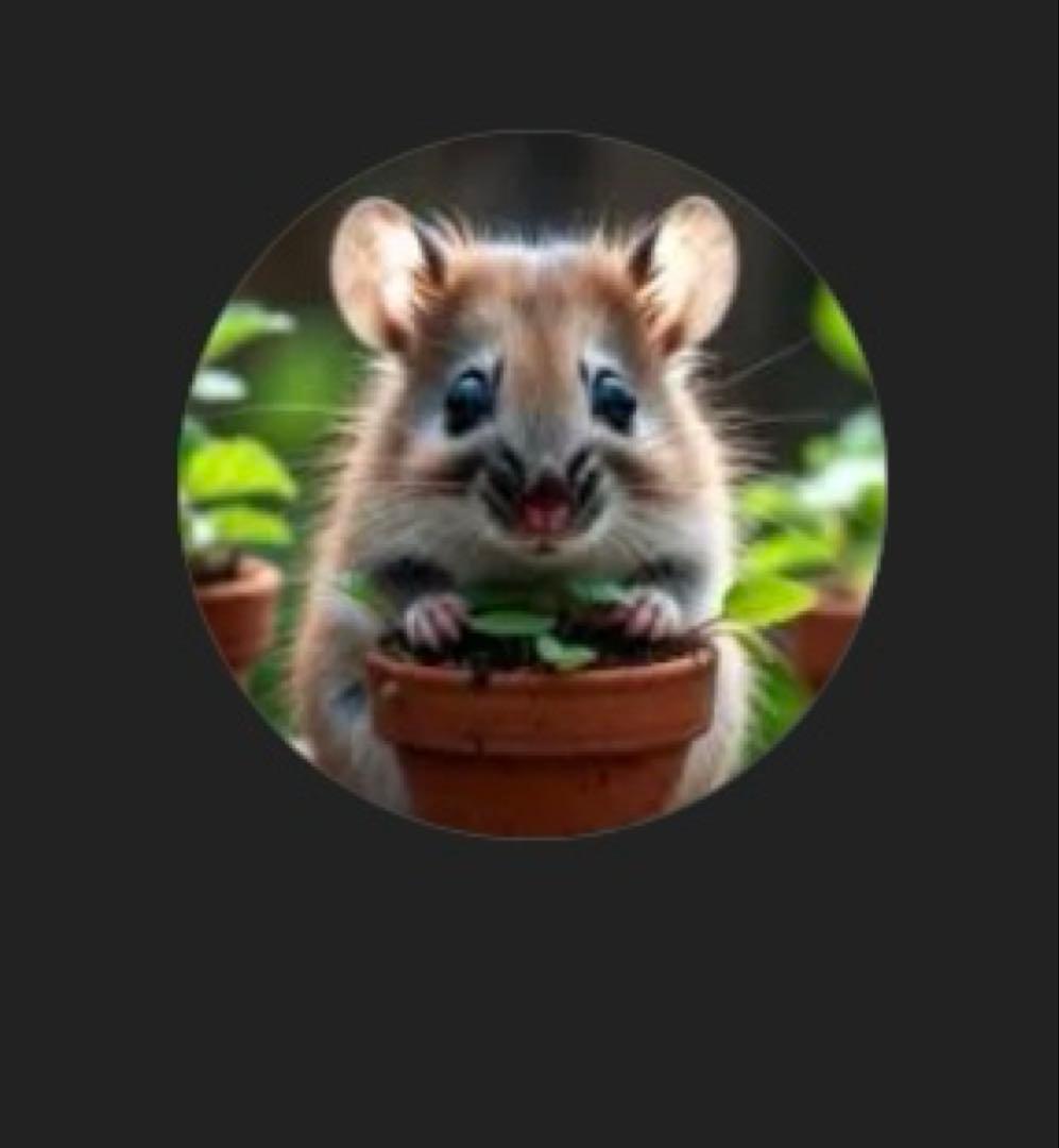 ジャケット・アウター N_PLANTS ENGINEERED GARMENTS〉×〈NANGA〉 Zip Jacket - Nylon Ripstop Color