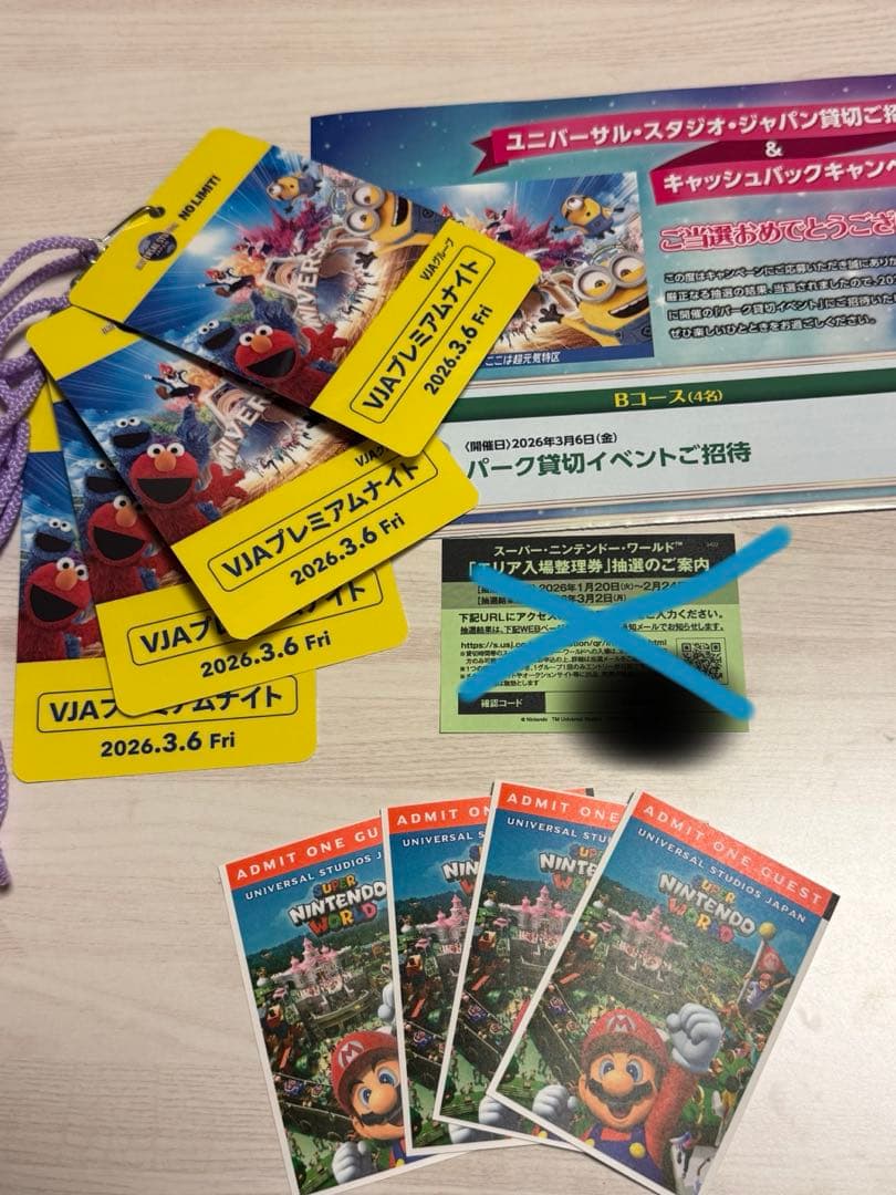 ユニバーサル・スタジオ・ジャパン プレミアムナイト入場券 3月6日