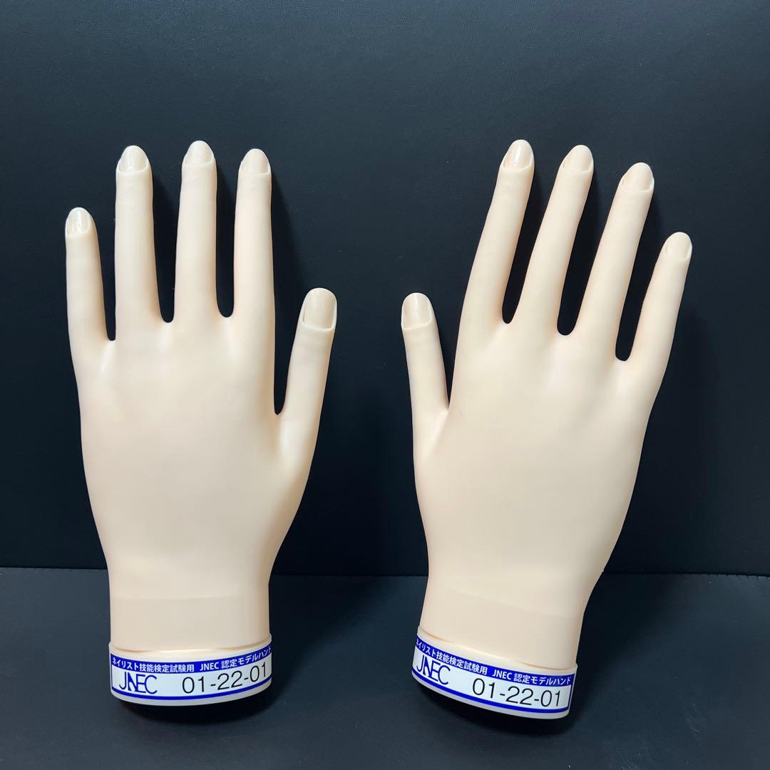 検定用ネイルハンド