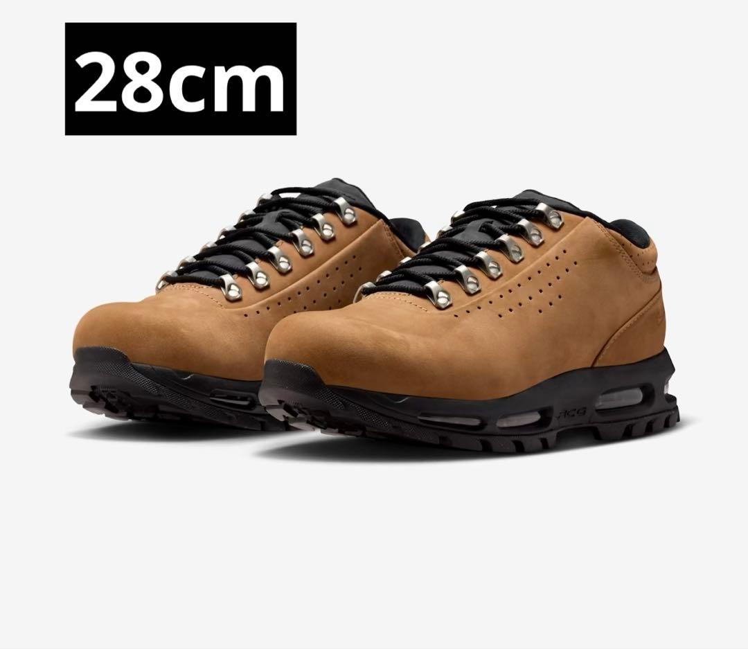 靴 Nike Air Max Goadome Low SP \