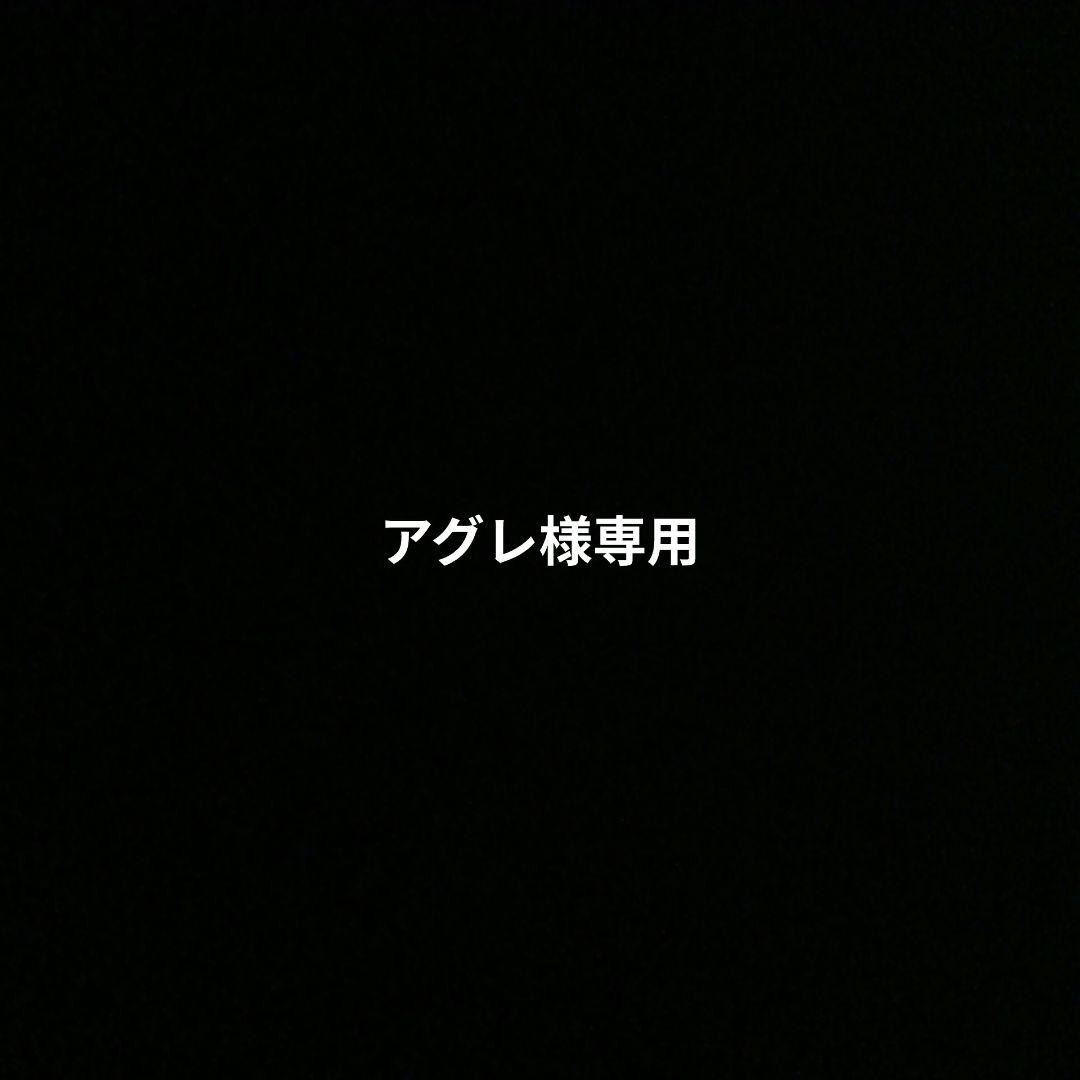 【1日まで】ちーの　まとめ売り② ロニー・クインタレッリのスーパーGTラストレースのMOTUL AUTECH Zを