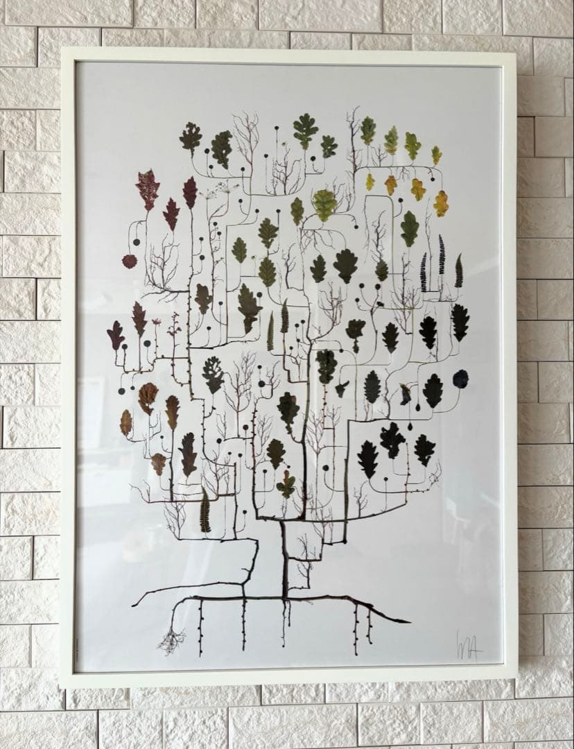 木の葉アート作品 ⭐︎フレーム付き