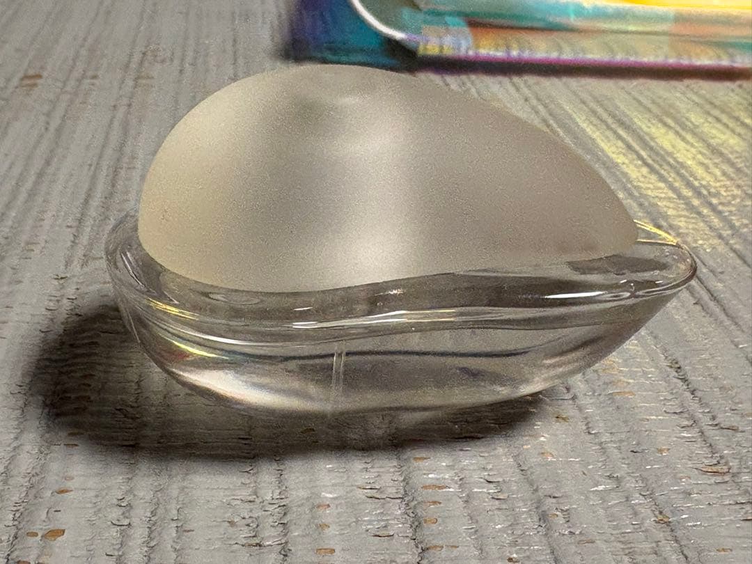 Tan Giudicelli [Annam] タン・ジュディチェリの「アンナム