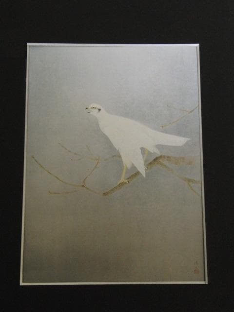 上村淳之、【白鷹】、希少な額装用画集より、新品額装付